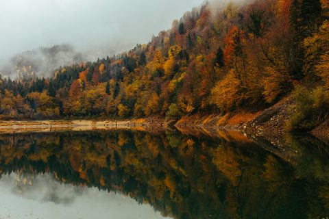 sefa-yamak-_9dsTKvXowY-unsplash.jpg