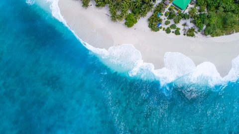 shifaaz-shamoon-Rl9l9mL6Pvs-unsplash-nature.jpg