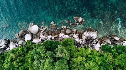 shifaaz-shamoon-nl4UmJuc-gw-unsplash-nature.jpg