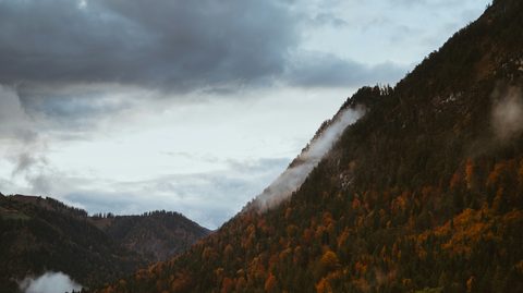 shutter-speed-NVa71fsGMBI-unsplash.jpg
