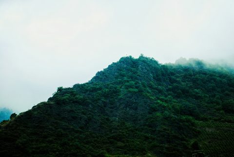 sonia-remizua-Q-eb9r8dswg-unsplash.jpg
