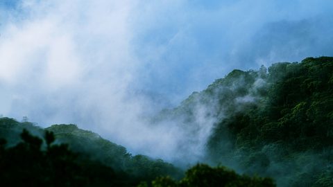srikanta-h-u-wOIuohE2SW0-unsplash.jpg