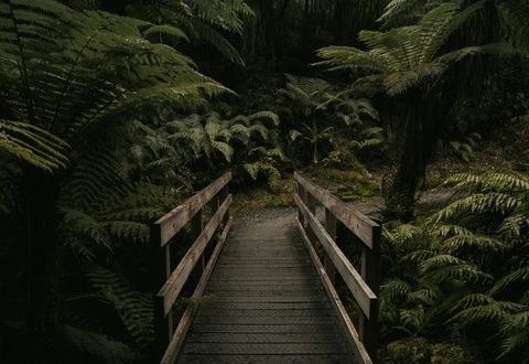 tyler-lastovich-AVzByhROPbs-unsplash-nature.jpg