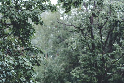 valerie-sidorova-xDnVaTTzua8-unsplash.jpg
