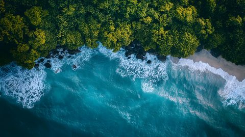 vecteezy_a-beautiful-blue-ocean-with-a-rocky-shoreline-and-trees-in_53828110.jpg