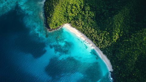 vecteezy_a-beautiful-blue-ocean-with-a-sandy-beach-and-lush-green_53828485.jpg