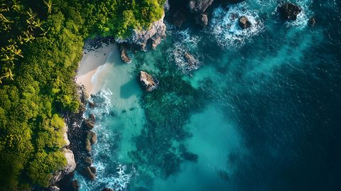 vecteezy_a-beautiful-ocean-view-with-a-rocky-shoreline-and-a-lush_53828118.jpg