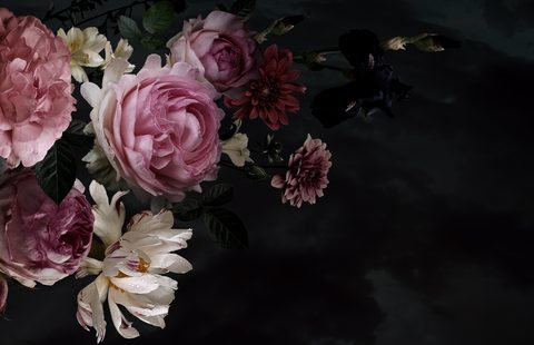 vintage-garden-flowers_8500x5500-B49B6-nature.jpeg
