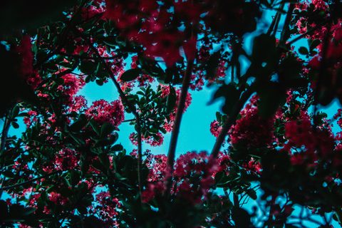 virginia-johnson-J92AvlkCmd4-unsplash-nature.jpg
