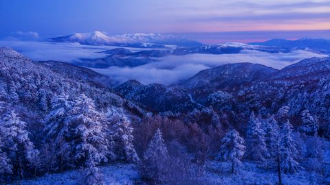 wallhaven-1p68k1-nature.jpg
