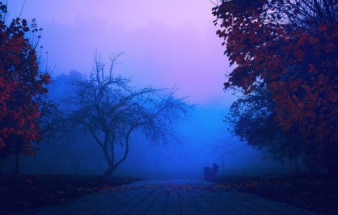 wallhaven-289xdx-nature.jpg