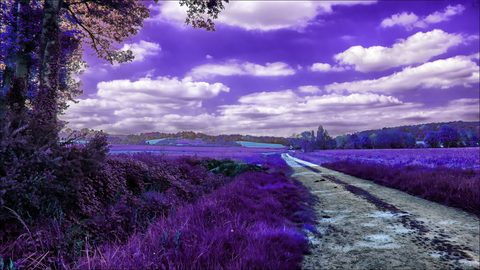 wallhaven-6d1zml-nature.jpg