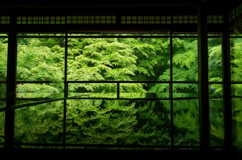 wallhaven-6d3zkl-nature.jpg