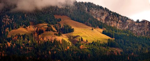 wallhaven-6lq5j6-nature.jpg