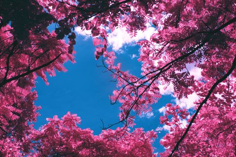 wallhaven-6lqvql-nature.jpg