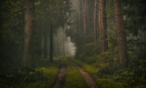 wallhaven-7jg5vy-nature.jpg