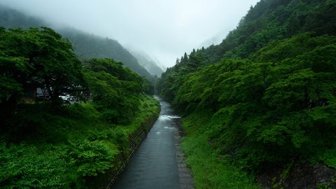 wallhaven-7p83x9-nature.jpg