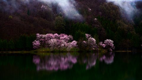 wallhaven-jxzmzq-nature.png