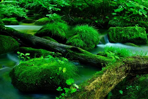 wallhaven-k7q6xq-nature.jpg