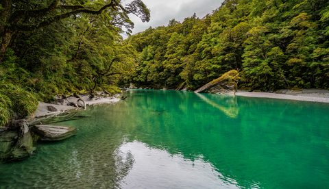 wallhaven-k87zxd-nature.jpg