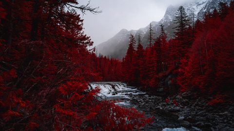 wallhaven-kwr11m-nature.png