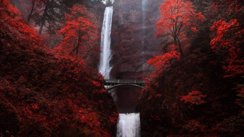 wallhaven-kwvg6m-nature.png