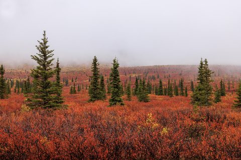 wallhaven-kxq5p1.jpg
