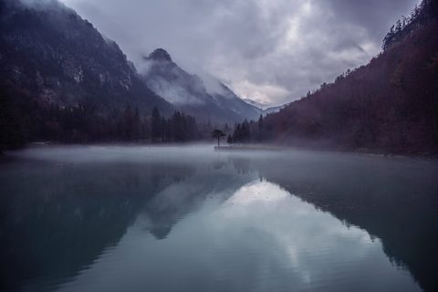 wallhaven-lm6jm2-nature.jpg