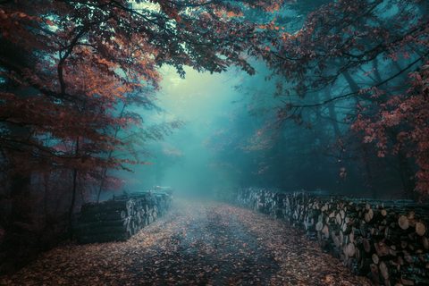 wallhaven-lmg5py-nature.jpg