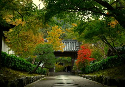 wallhaven-o5qw8p-nature.jpg