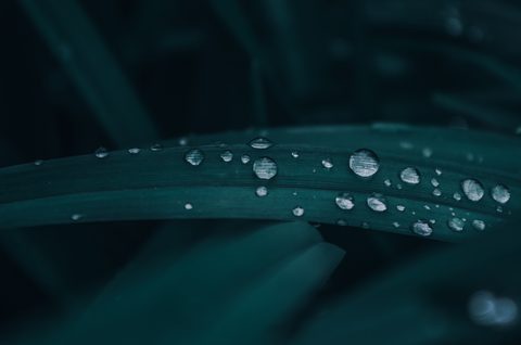 wallhaven-p87k53-nature.jpg