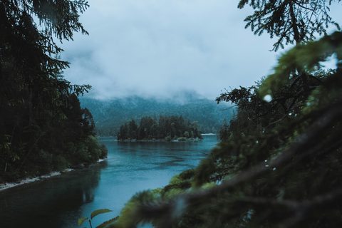 wallhaven-rqy1mm.jpg