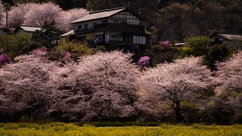 wallhaven-vqkw1p-nature.jpg