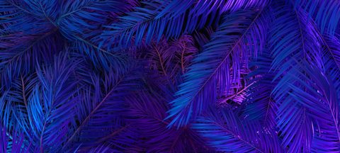 wallhaven-vqlkql-nature.jpg