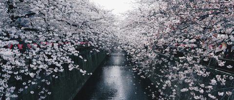 wallhaven-w5yqjq-nature.jpg