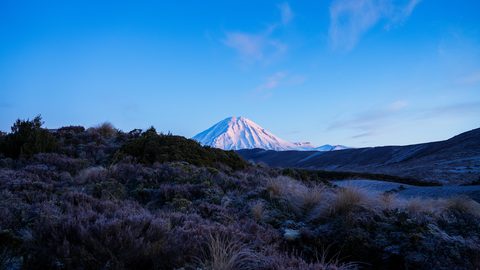 wallhaven-we2537-nature.jpg