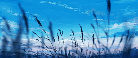 wallhaven-x69x1o-nature.jpg