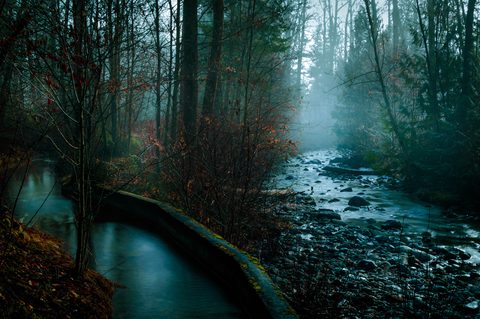 wallhaven-zxpdjw-nature.png