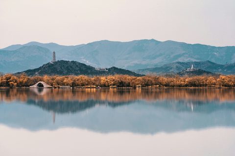 zhang-kaiyv-qn6-cEO8Ryo-unsplash.jpg