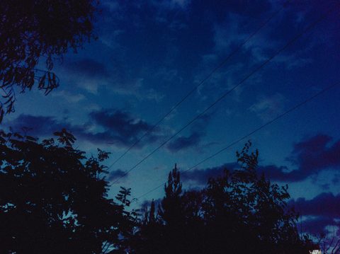 zhyar-ibrahim-9X0OzXXbQF8-unsplash-nature.jpg