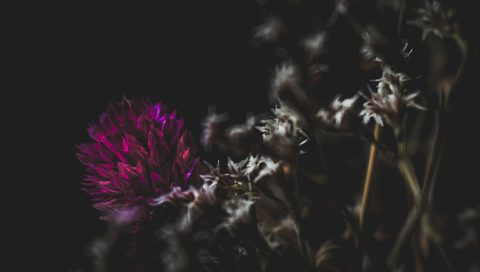 zoritsa-valova-PIGkrKjAKE0-unsplash-nature.jpg