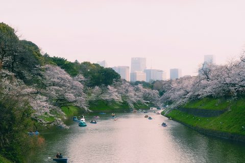 ayumi-kubo-OBUb964Z4Hs-unsplash-urban.jpg