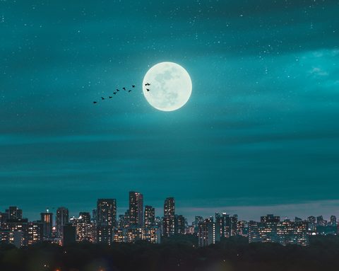 thula-na-ddJ9PNYjric-unsplash-urban.jpg