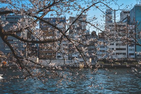 wallhaven-13dz79-urban.jpg